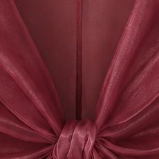 Organza